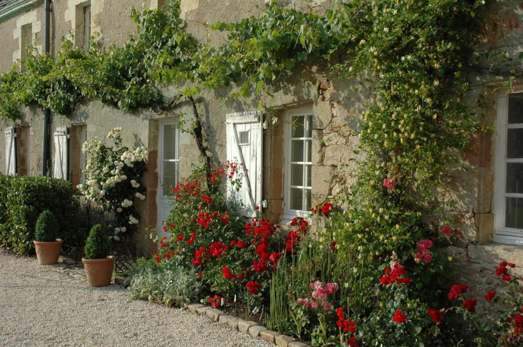 Bed and Breakfast Château de l'Oiselinière à Gorges  Extérieur photo